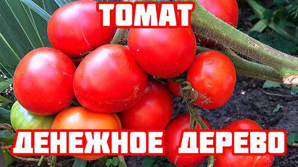 Выбор