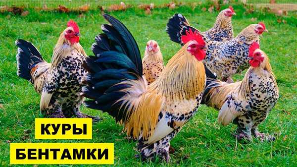 Описание