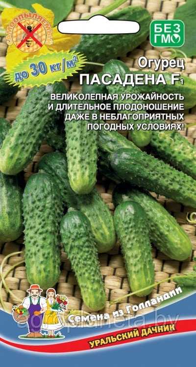 Отзывы