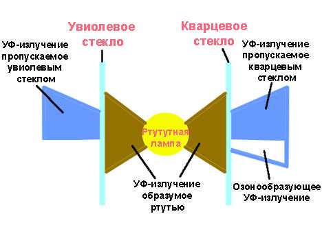 Домашняя