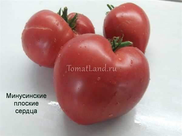 Характеристика