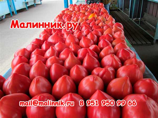 Отзывы
