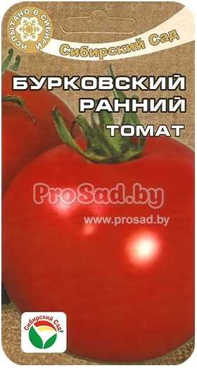 Томат